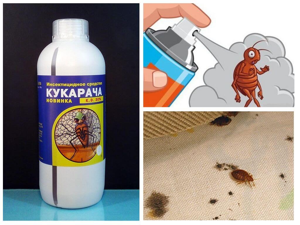Cucaracha khắc phục cho bedbugs