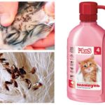 Blechový šampon pro koťata