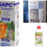 Shampoos de pulgas para gatos e cães