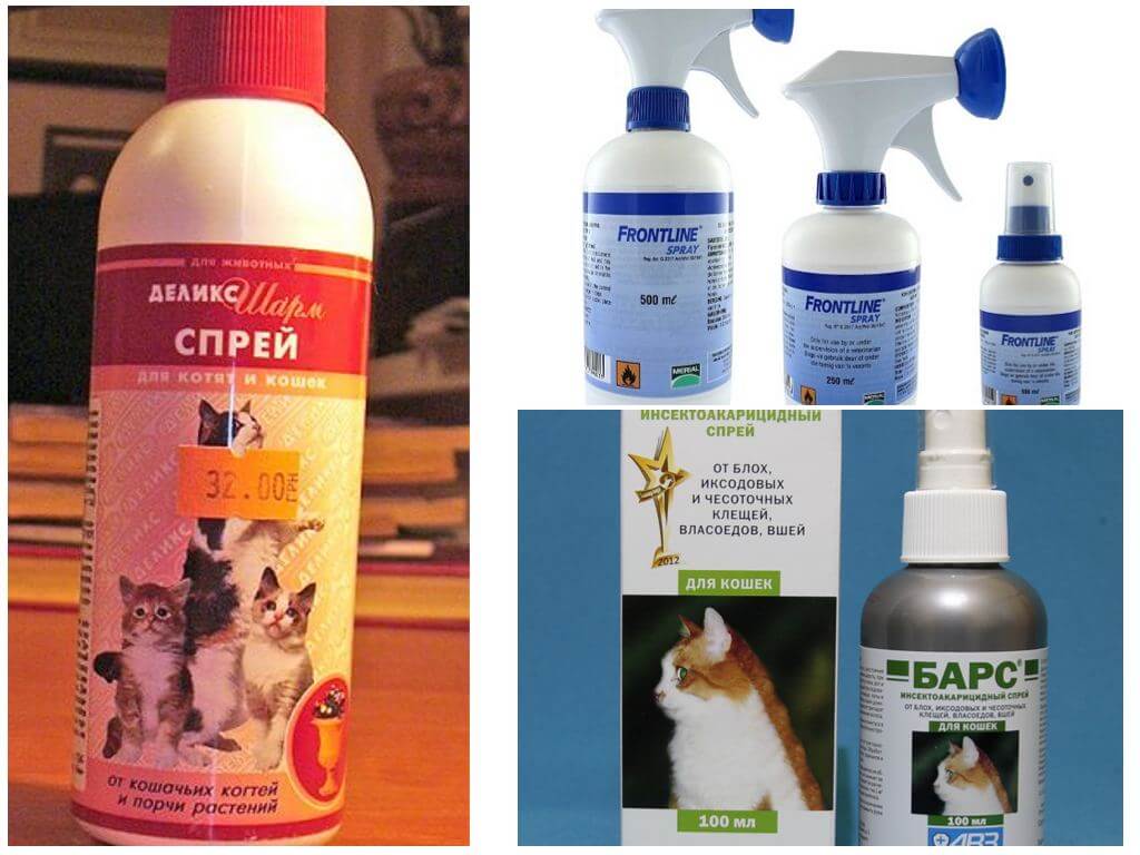 Sprays de pulgas em gatos