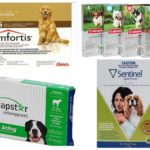 Comprimidos de pulgas para cães