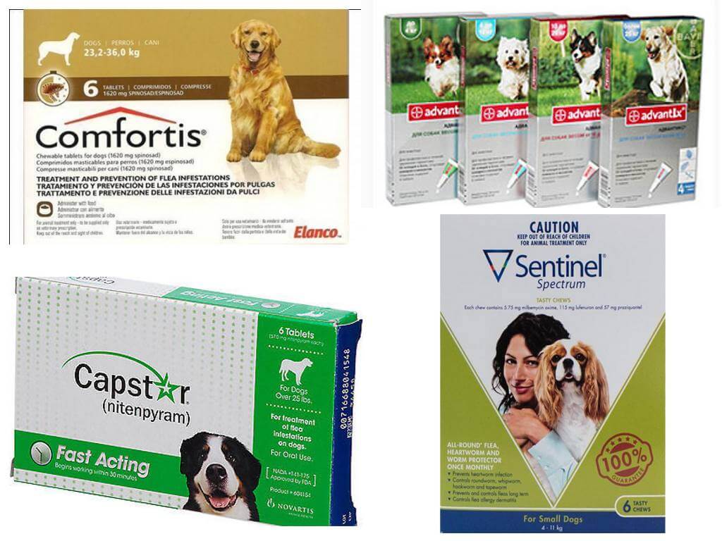 Comprimidos de pulgas para cães