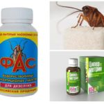 Pillole di scarafaggio