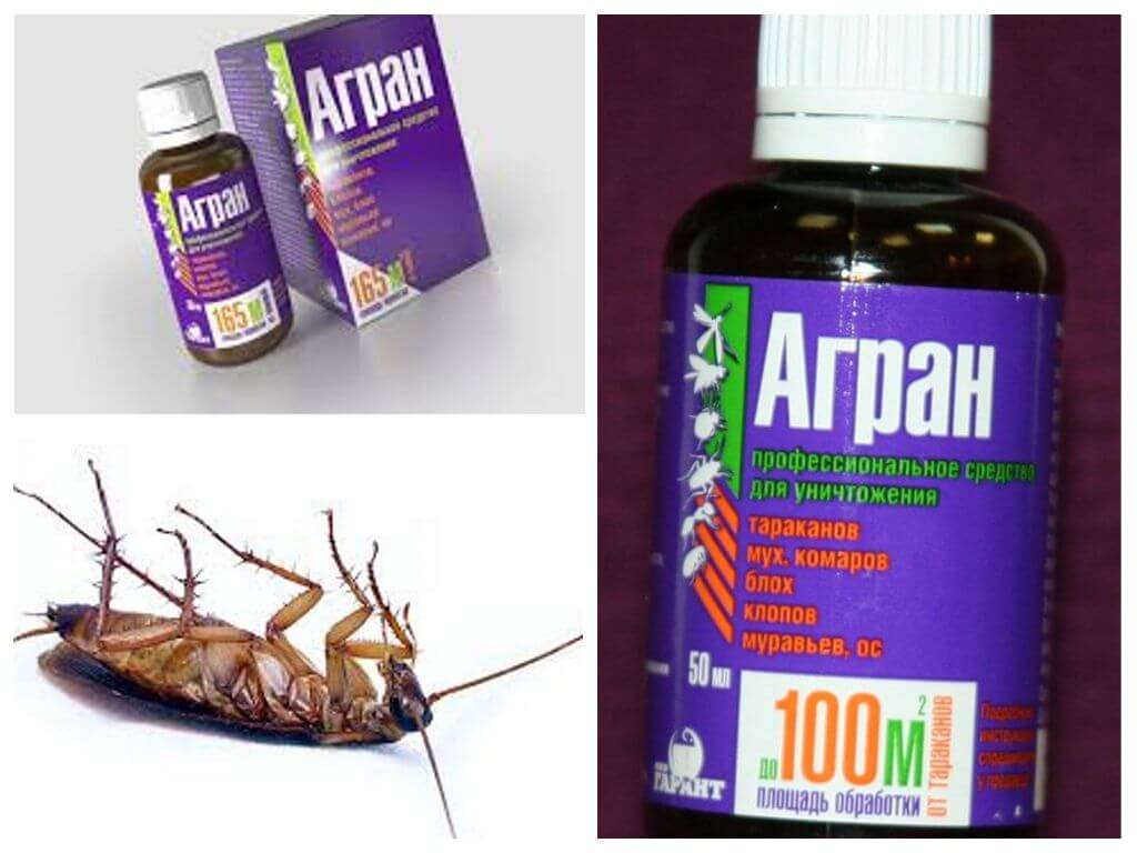 Agran от хлебарки