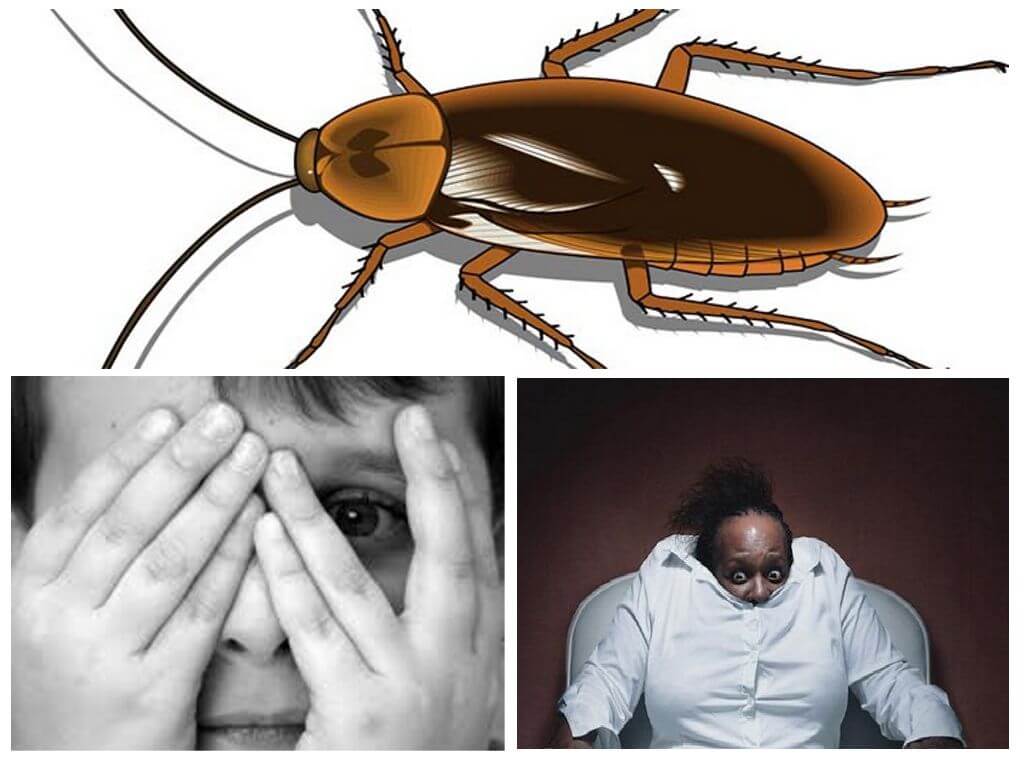 Страх от хлебарки