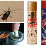 Dichlorvos dagli scarafaggi-2