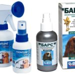 Spray per pulci nei cani