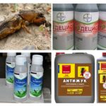 Insektizide Produkte von Medvedka