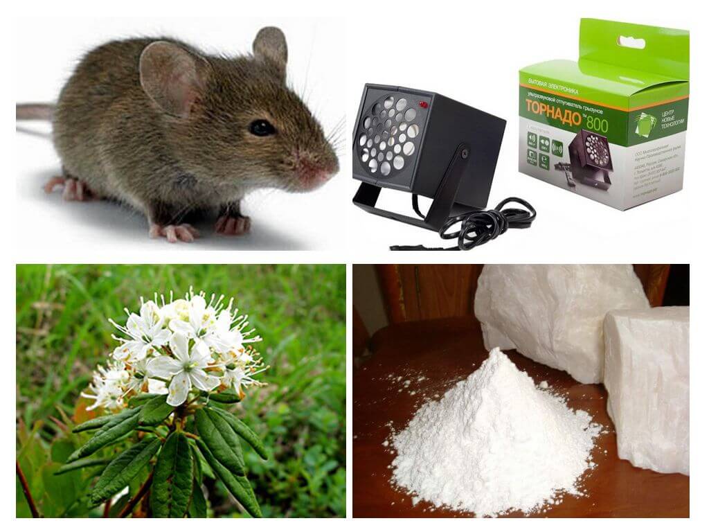 Mètodes per tractar amb ratolins