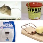 Methoden voor het omgaan met muizen