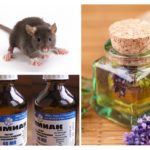Lidové léky pro myši