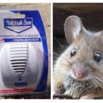 Ultraljud repeller från råttor och möss Ren hus