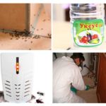 Начини за убиване на насекоми