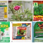 Prodotti chimici tossici per la protezione delle piante