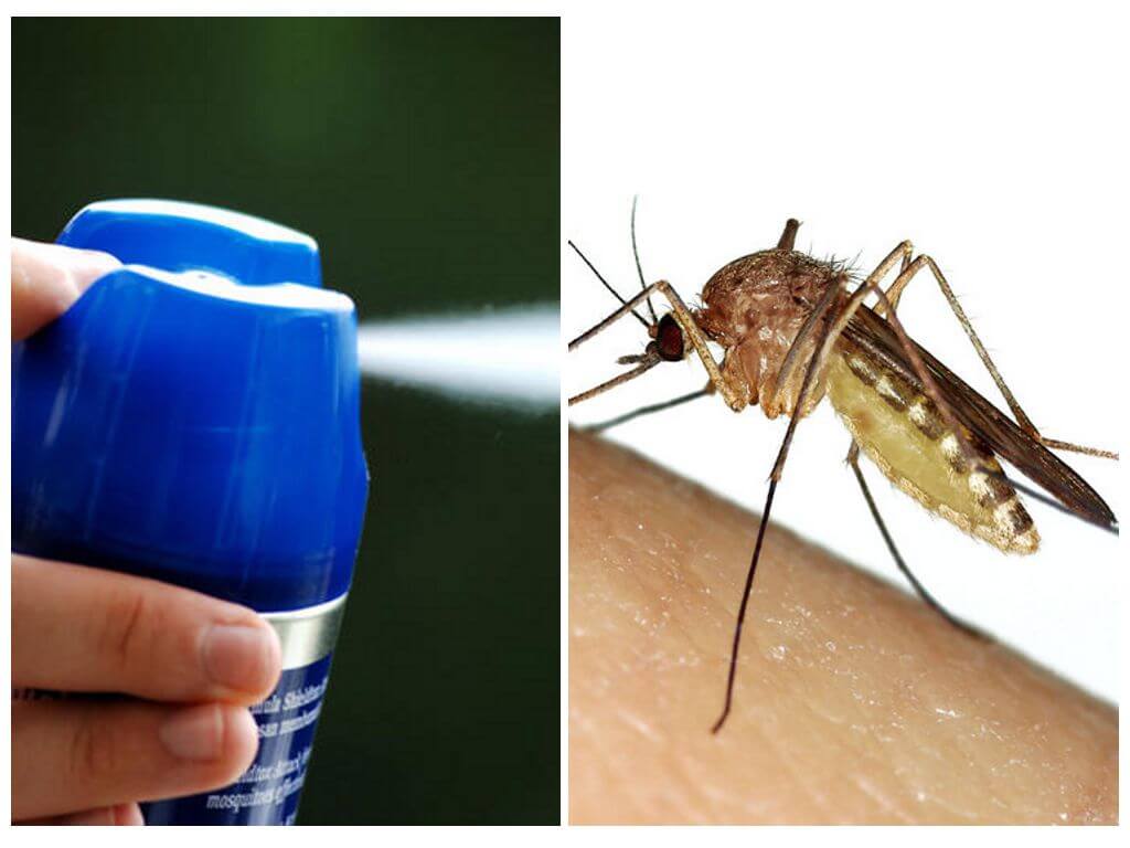 Spray de mosquito