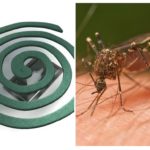 Sivrisinek bobinleri