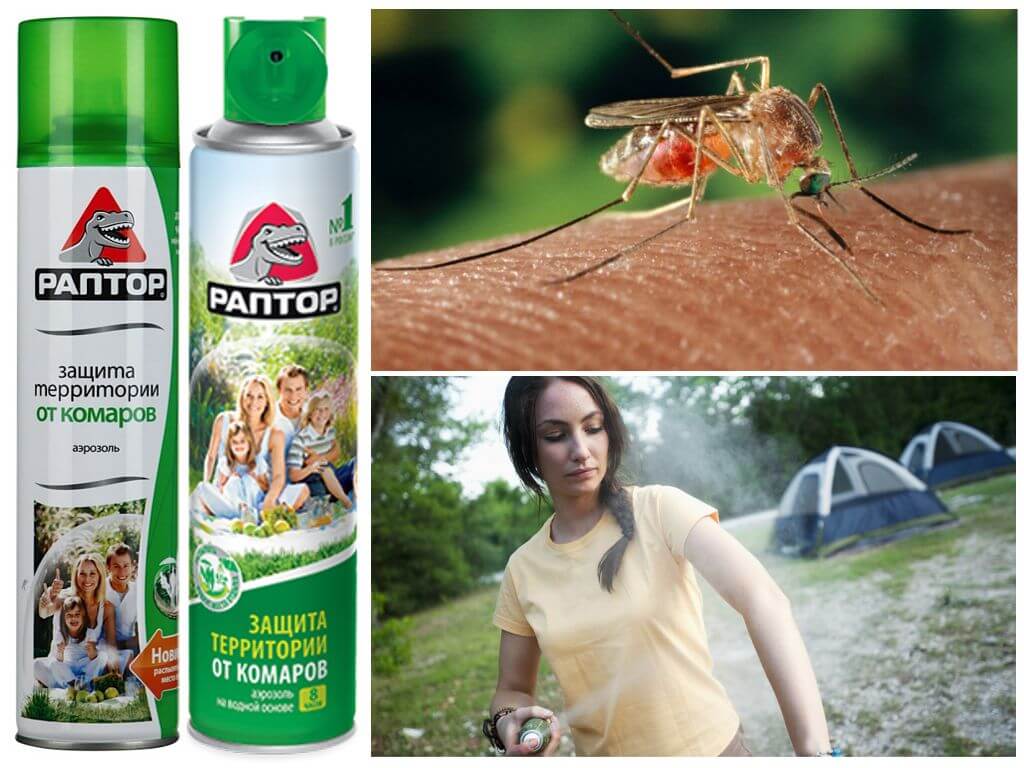 Protéger le territoire des moustiques Raptor