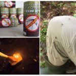Smoke Bomb pour la protection contre les insectes volants