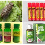 Productos insecticidas