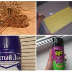 Līdzekļi centipede kontrolei