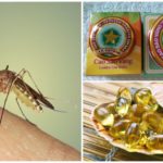 Métodos de lidar com mosquitos