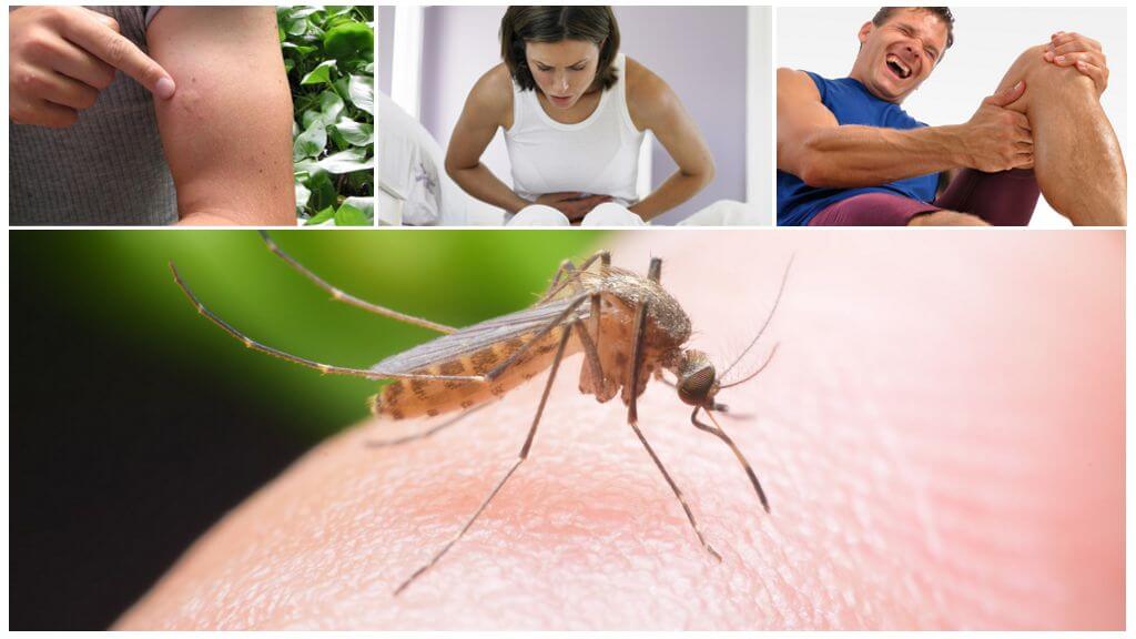 Důsledky kousnutí komárů malárie