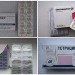 Antibiòtics en pastilles per a la borreliosi