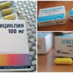 Doxycycline untuk rawatan gigitan kutu
