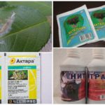Caterpillar Chemicals