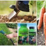 Metody nakládání s mrkví
