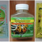 Các sản phẩm sinh học để chống bọ ve nhện