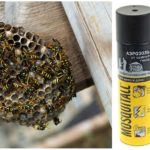 Wasps और wasp घोंसले से Mosquitall एयरोसोल
