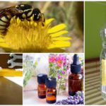 Lutando em remédios populares vespas