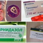 Nitroimidazole תרופות נגד Giardia